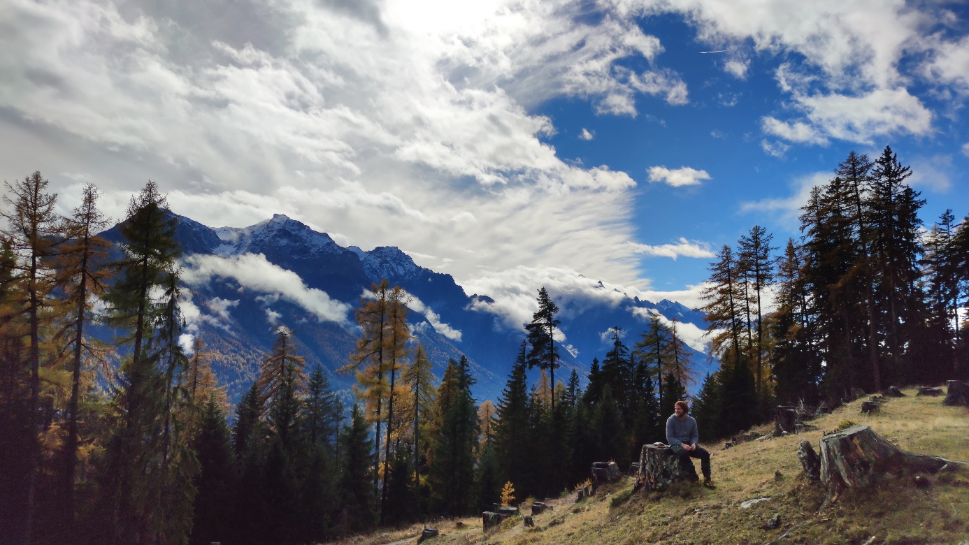 Elementebehandlung – Heilarbeit in der Natur