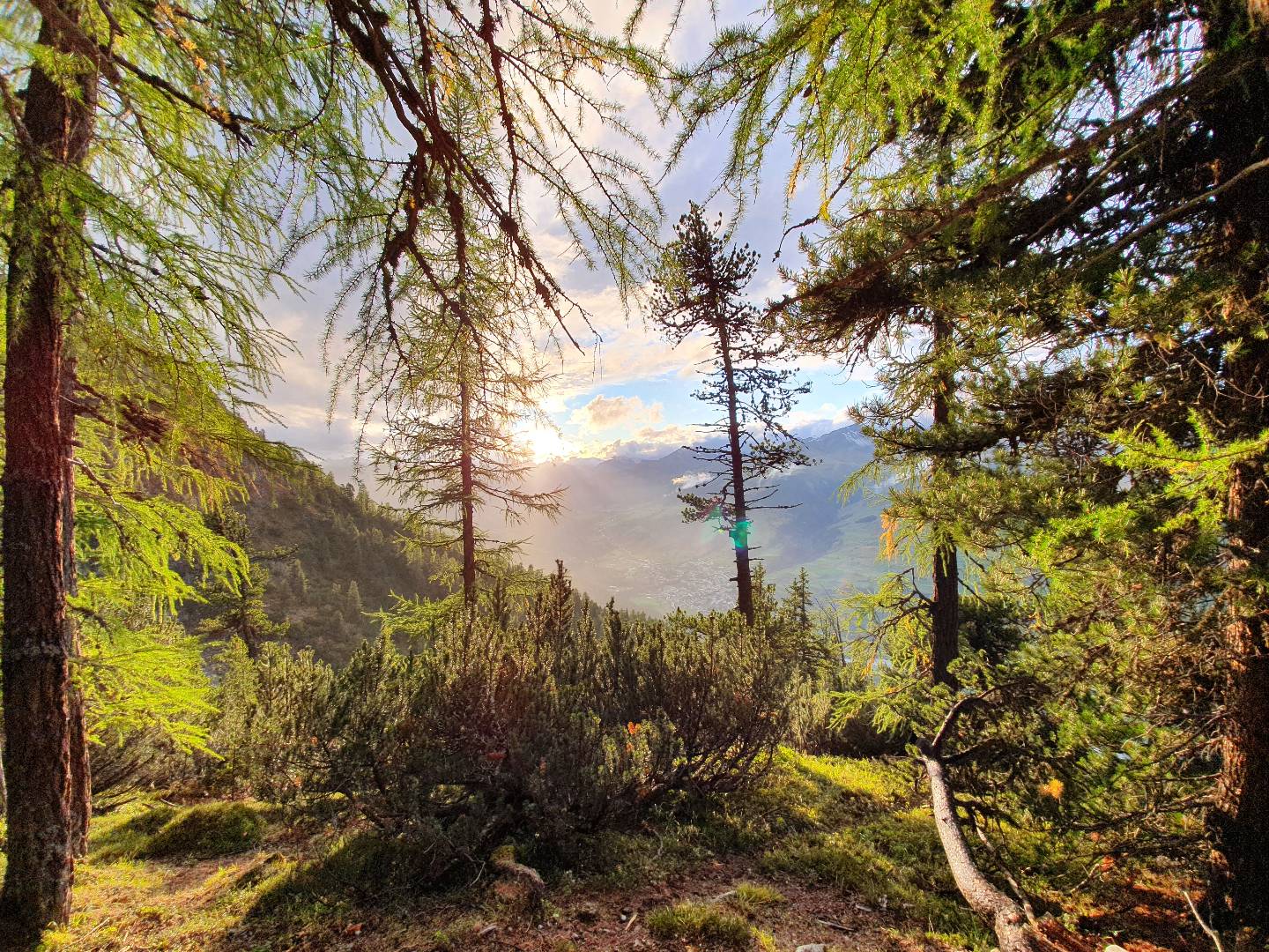 Elementetage – ein ganzer Tag in der Natur