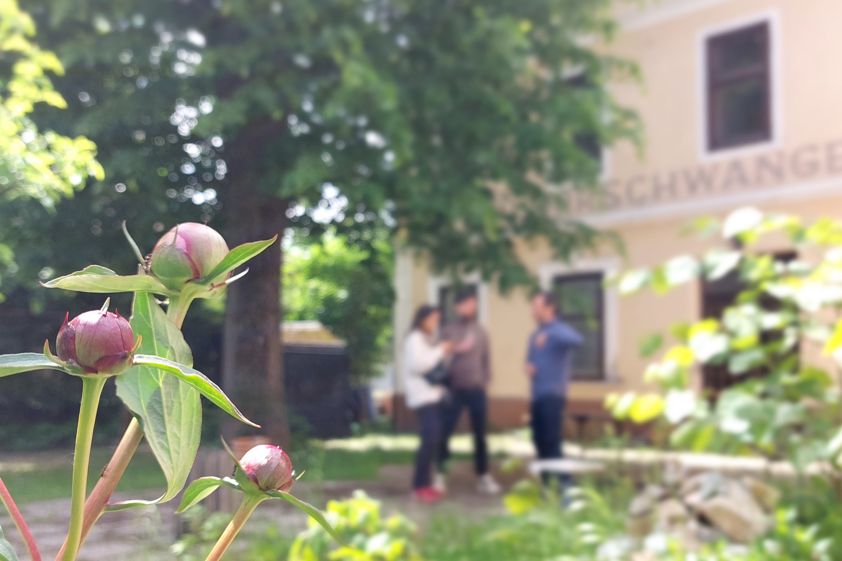 Gardenfront at Commons Hub